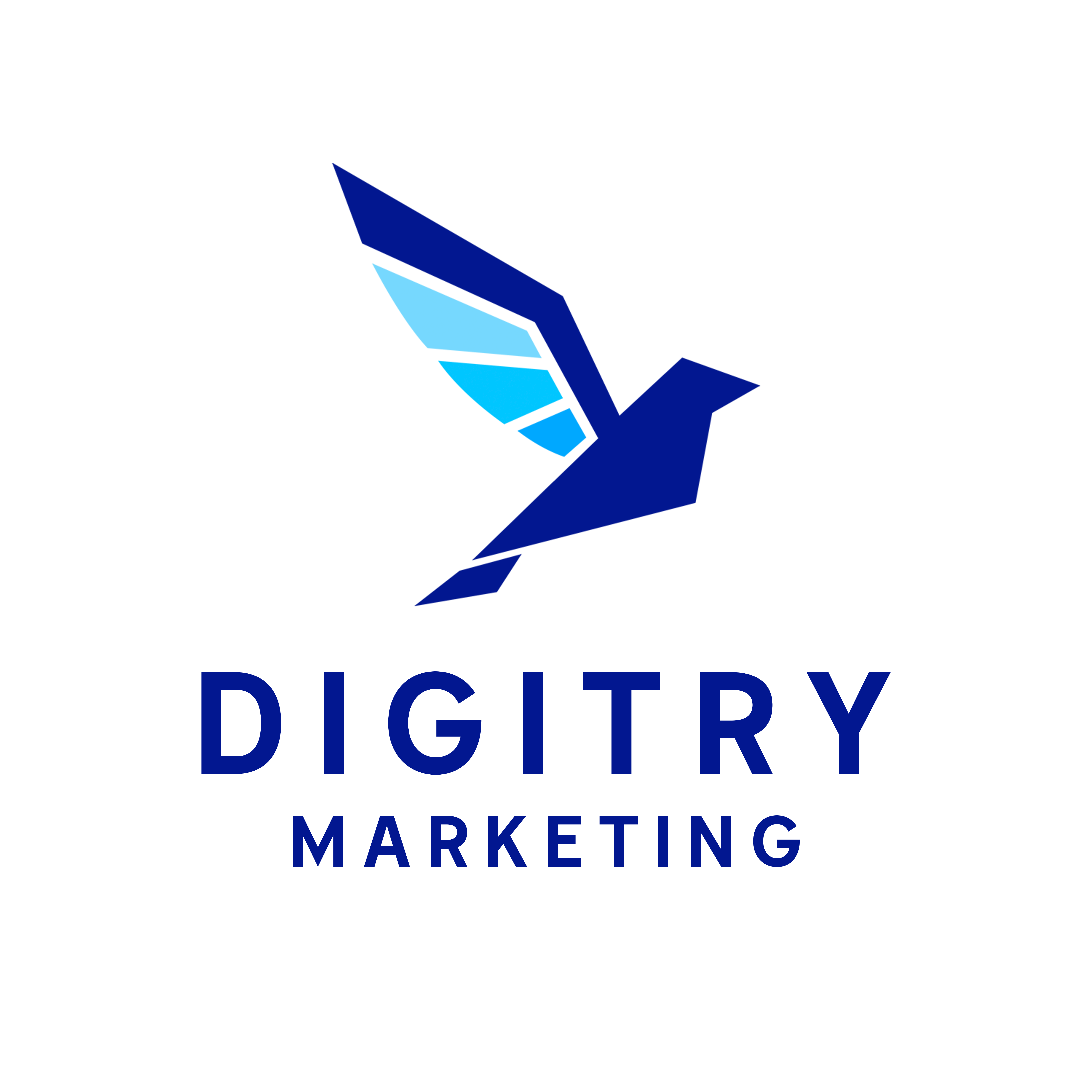 Digitry Marketing Logo